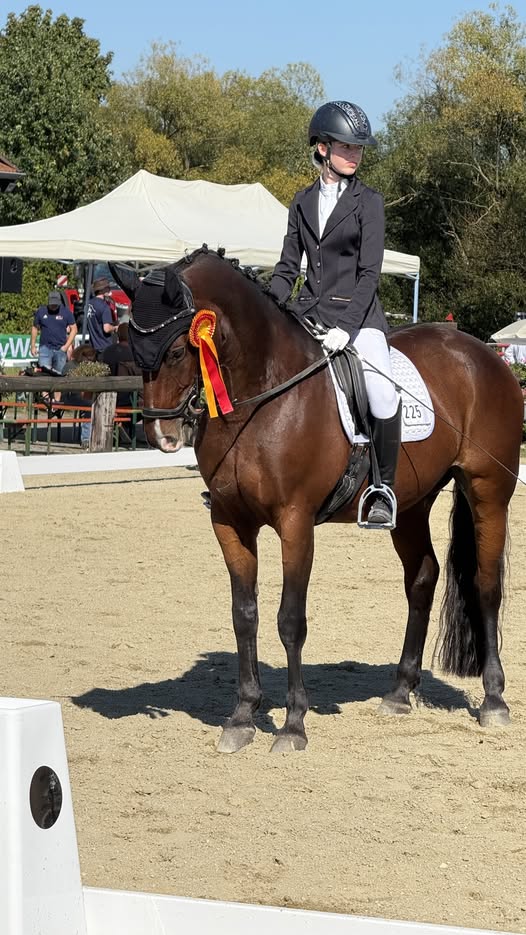 Elisa hat heute mit Ihrer Cara Donna den ersten Platz in ihrer ersten Dressur Pr&uuml;fung gemacht. Mit 8,5 punktet hat sie alle hinter sich gelassen!